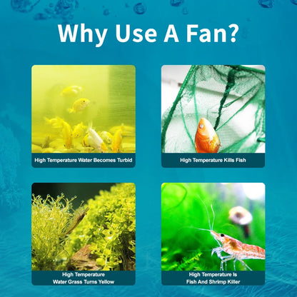Jebao Jecod ACF Series Aquarium Cooling Fan - Mute Automatic Temperature Control Fan, 12V 3W