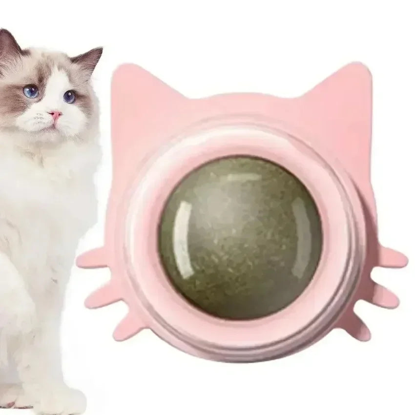 Lickable Catnip Balls Toy, Teeth Cleaning Chew Toy with Natural Catnip for Kittens & Cats, Sticks to Wall & Window