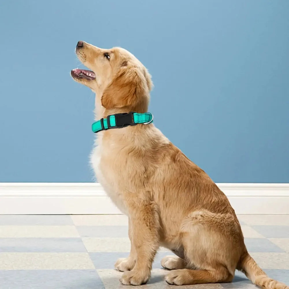 Dog Collar Adjustable Soft Neoprene Padded Nylon Pet Collars with Buckle for Medium Dogs Puppy Walking Necklace Harness Necklace