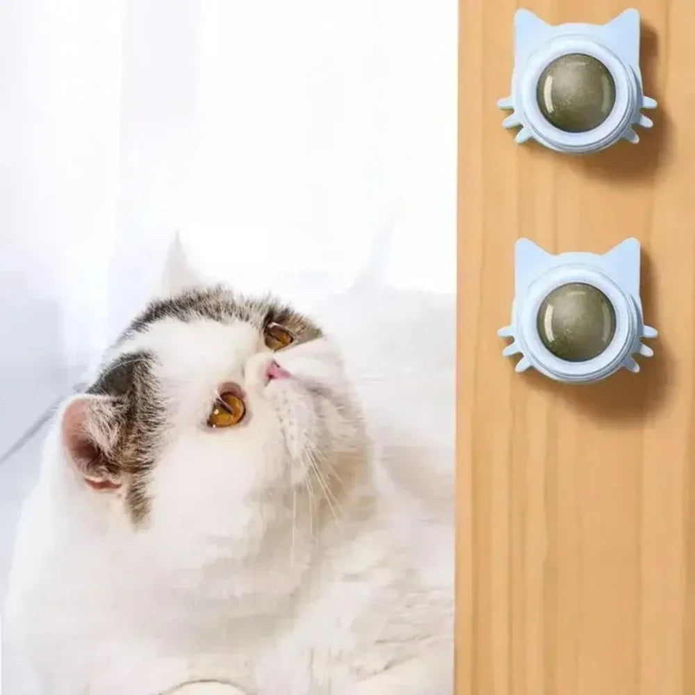 Lickable Catnip Balls Toy, Teeth Cleaning Chew Toy with Natural Catnip for Kittens & Cats, Sticks to Wall & Window
