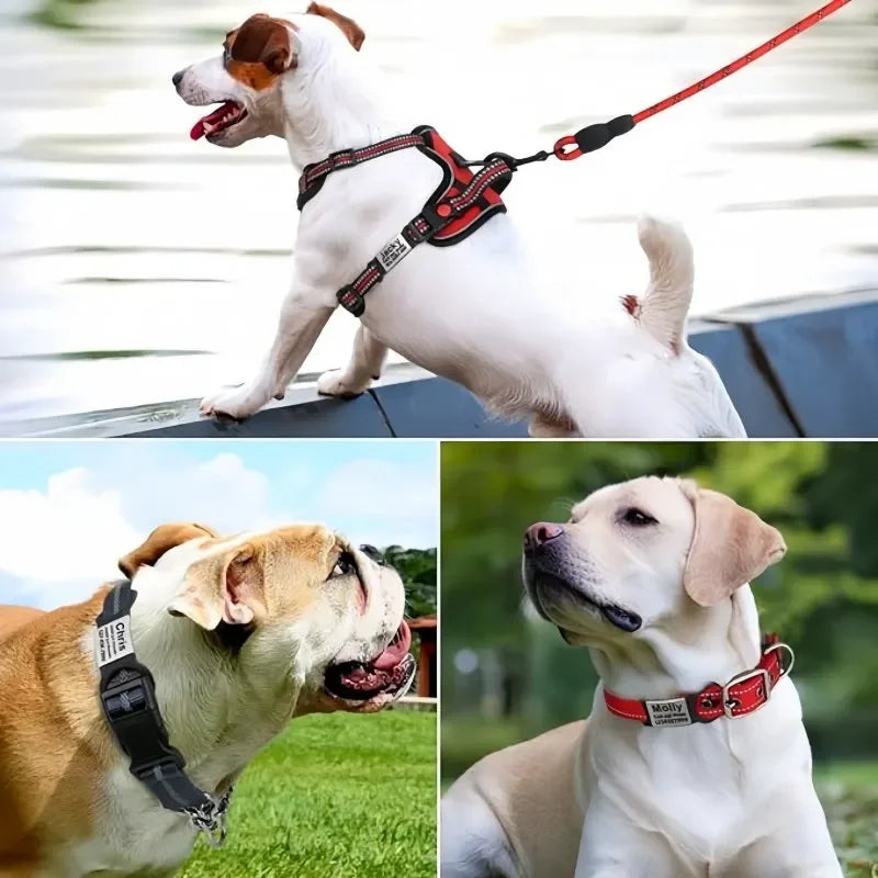 Custom Cat Dog ID Personalized Pet Collar Tag Engraving Charm Name Pendant Bne Necklace Puppy Key Ring Pet Accessories