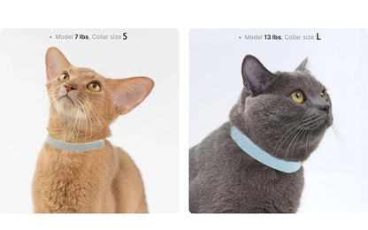 Fashion Safety Cat Collar Stretch Elastic Collars - Light Weight for Kitten, Neck for All Small Large Cat,Puppy Pet Accessories