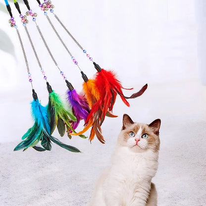 Cat Toy Feather Cats Sticks Teaser Cat Toys Interactive Spring Handle Kitten Toys with Bell Training Cats Stick Toy Pet Supplies