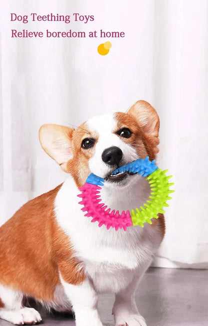 Cute Dog Toys Training Flying Discs Pet Ring Spiky Circle Ring Dog Bite-Chew Molar Cleaning Tooth Pet Supply Toy Dog Accessories