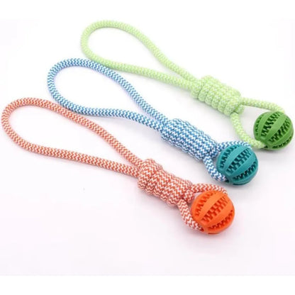 Dog Hollow Ball Toy Rubber Chew Toys for Dogs Cleaning Teeth Molar Bite Resistant Toy with Bell Puppy Training Game