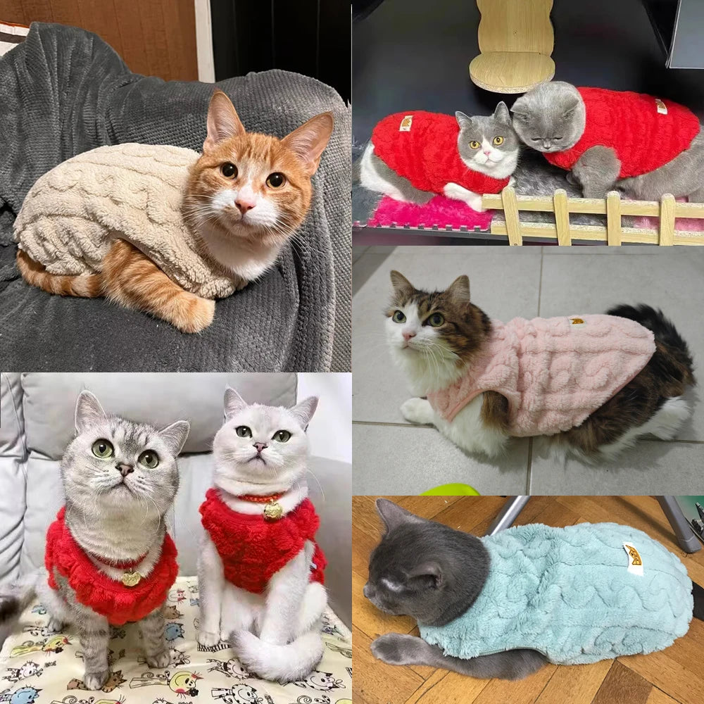 Soft Cozy Cat Clothes Autumn Winter Warm Fleece Sweatshirt for Small Dogs Puppy Kitten Jacket Coat Pet Sphynx Costume Sweater