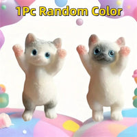 1PC-Random Color