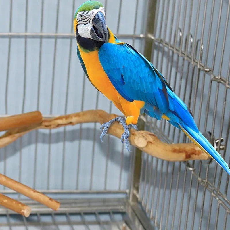 Pet Standing Stick Wild Grape Wood Pole Parrot Cockatiel Parakeet Station Board Bite Claw Grinding Toy Bird Cage Accessories
