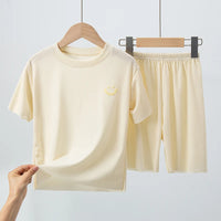 2pcs-bstz-huang
