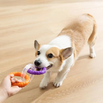 Pet Throwing Stick, Throwing Device, Throwing Toy, Dog And Cat Interactive Ball Picking Pet Toy Training Toys Pet Supplies