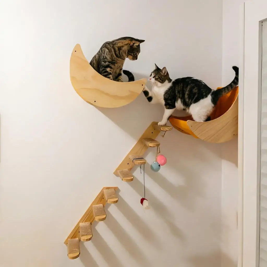Cat Wall Hiding House Hammock Climbing Shelves Moon Perches Bed Ladder Solid Wood Steps For Activity Indoor Cats Wall Furniture