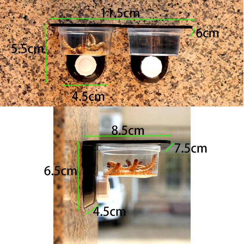 Reptile Tank Accessories Insect Spider Ants Nest Snake Gecko Food Water Feeding Bowl Terrarium Breeding Feeders Box Pets Supplie
