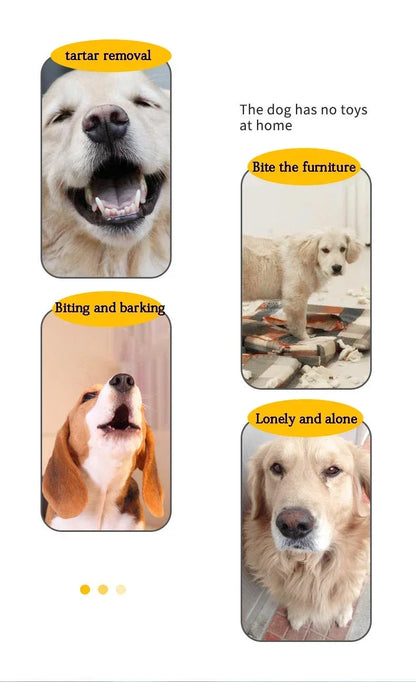 Cute Dog Toys Training Flying Discs Pet Ring Spiky Circle Ring Dog Bite-Chew Molar Cleaning Tooth Pet Supply Toy Dog Accessories