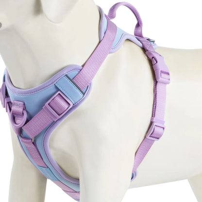 Splicing Colors Breathable For Medium No Pull Dog Harness for large Small dogs Adjustable Chest Strap Dog Harness Personalized