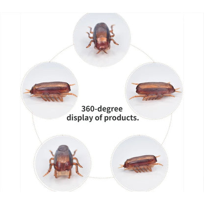 Funny Simulation of Cockroaches Pet Cat Dog Kitten Interactive Training Play Toy