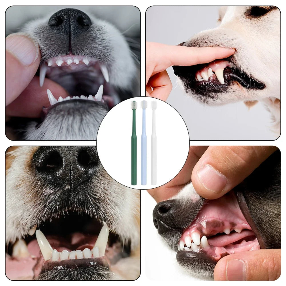 Pet Cat Toothbrush Super Soft Nylon Bristles Tooth Brush 360 Degree Oral Cleaning&Cat Face Blackhead Cleaning Cat Acne Brush