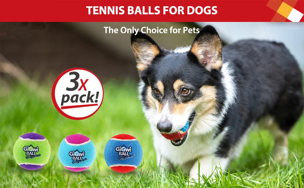 Pet Dog Squeaky Tennis Ball Interactive Dog Toys High Bounce Sound Rubber Ball  for Small Medium Dogs Training Outdoor Play Ball