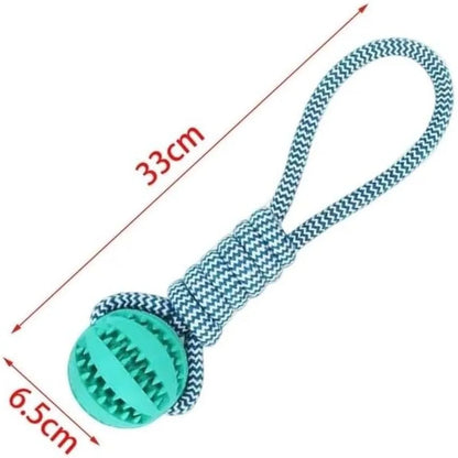 Dog Hollow Ball Toy Rubber Chew Toys for Dogs Cleaning Teeth Molar Bite Resistant Toy with Bell Puppy Training Game