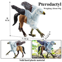 animals model