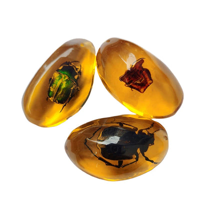 1PC Insects Amber Gemstone Scorpion Natural And Mineral Stones Home Decor Insects Amber Gemstone DIY Hand Crafts Gift