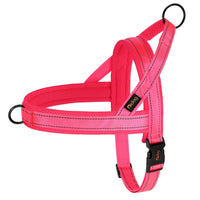 049 Pink