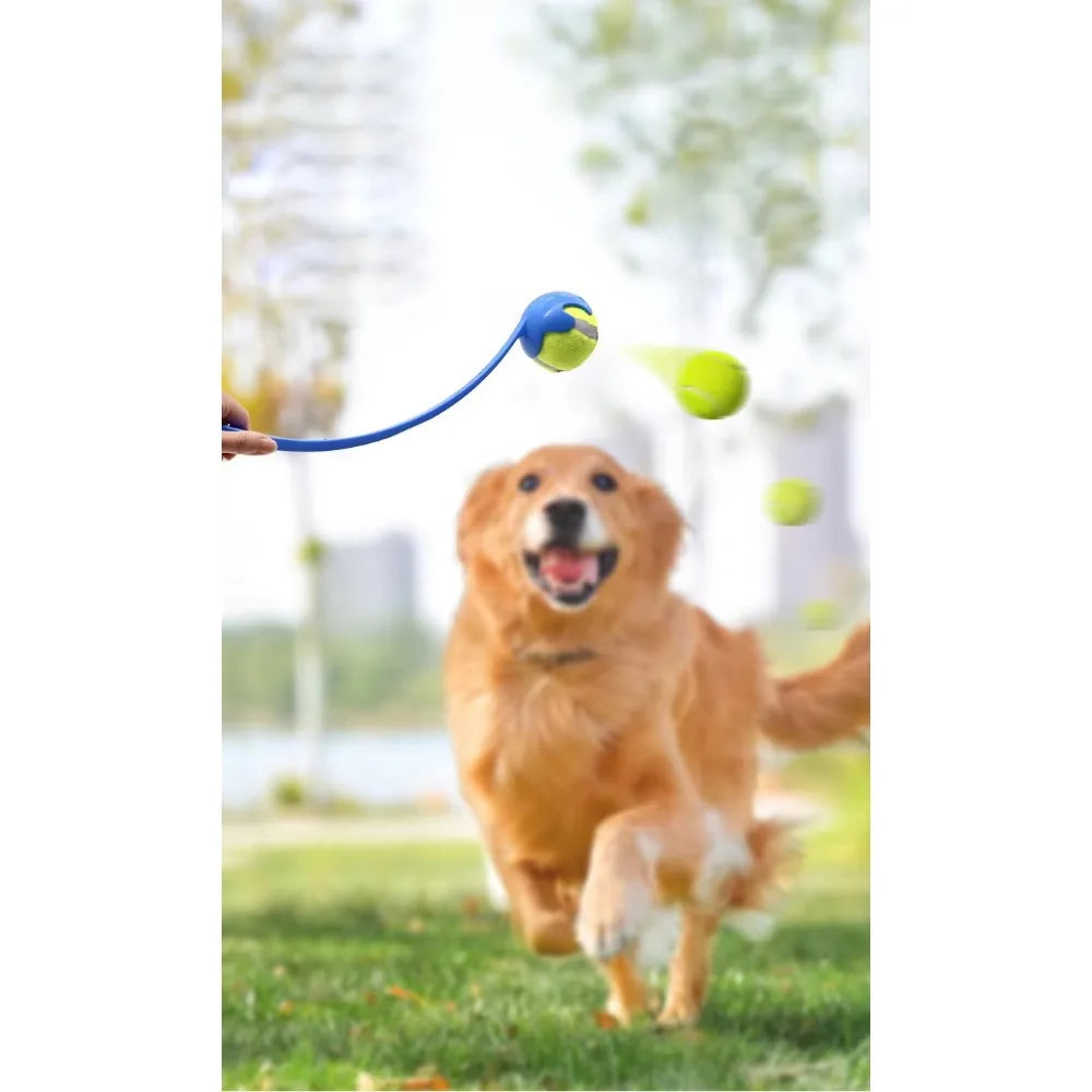 Pet Throwing Stick, Throwing Device, Throwing Toy, Dog And Cat Interactive Ball Picking Pet Toy Training Toys Pet Supplies