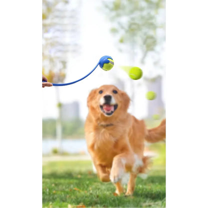 Pet Throwing Stick, Throwing Device, Throwing Toy, Dog And Cat Interactive Ball Picking Pet Toy Training Toys Pet Supplies