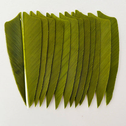 50Pcs 3 Inch Turkey Arrow Feathers Right  Wings Shield Cut Archery Feather Fletching for Bow and Arrow Accessories