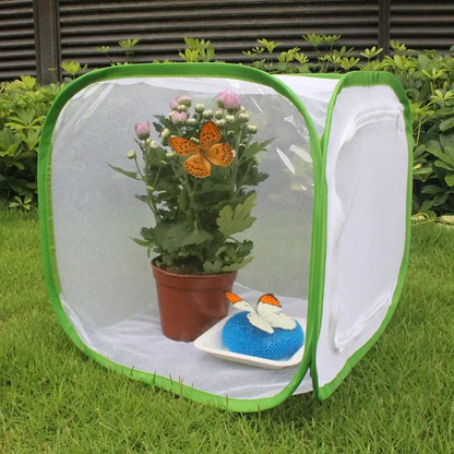 Collapsible Insect Cage Mesh Habitat Bird Butterfly Mantis Stick Grid Breeding Cricket Net Cloth Farm Cocoon Silkworm Hatch Cage