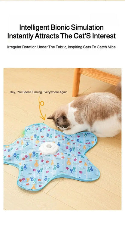 Cat Toys Interactive Hide and Seek Cat Toy with Mouse Squeaky Motion Activated Moving Concealed Feathers Kitten Teaser Toy