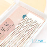 Brown-8mm