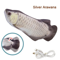 Silber Arawana