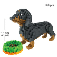 Small Dachshund
