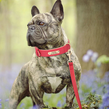 Soft Padded Dog Collar Leash Set PU Leather Pet Dog Collars Necklace With Walking Lead Rope Adjustable For Small Medium Dogs Pug