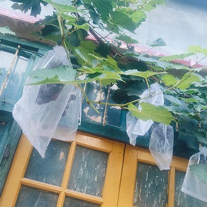 100pcs Grapes Fruit Grow Bags Netting Mesh Strawberry Vegetable Plant Protection Bags For Pest Control Anti-Bird Garden Tools
