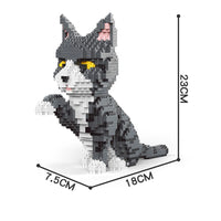 Tabby Cat blocks