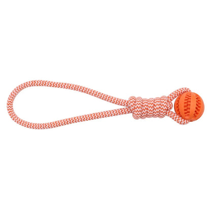 Dog Hollow Ball Toy Rubber Chew Toys for Dogs Cleaning Teeth Molar Bite Resistant Toy with Bell Puppy Training Game