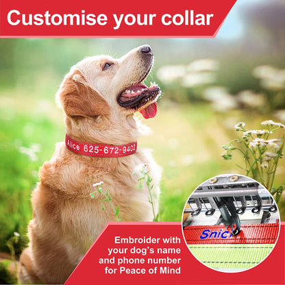 Embroidered Nylon Dog Collar Personalized Puppy Cat Collars Reflective Pet ID Collars DIY Phone Name ID For Small Large Dog Cat