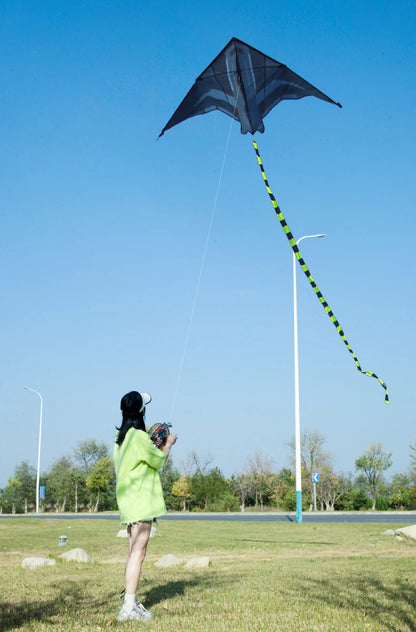 Yongjian 2m Aircraft Kite Delta Kite Suitable for outdoor camping with large adult kites Beach Camping Activities