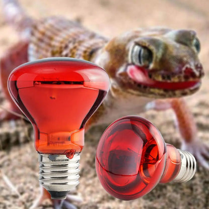 E27 Poultry Heating Bulb 25W-100W Infrared Insulation Heating For Reptiles Plants Amphibians Pets Livestock Lamp Tools