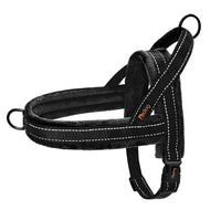 011 Black