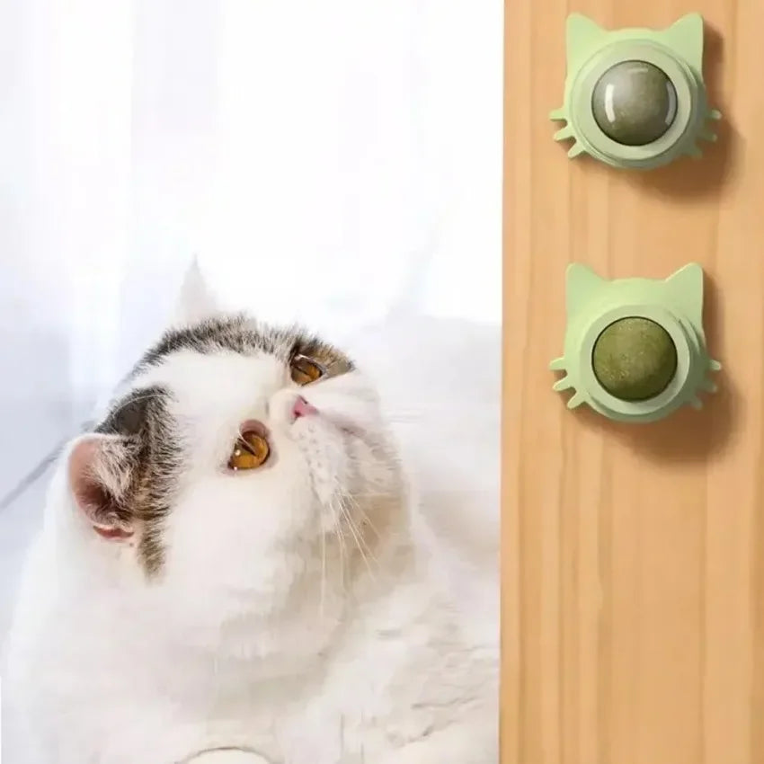Lickable Catnip Balls Toy, Teeth Cleaning Chew Toy with Natural Catnip for Kittens & Cats, Sticks to Wall & Window
