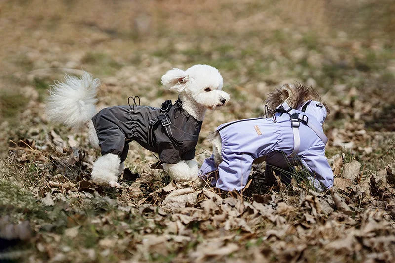 Dog Raincoat with Harness Waterproof Pet Rain Jacket for Small Dogs Adjustable Reflective Dog Rain Overalls with 4 Legs