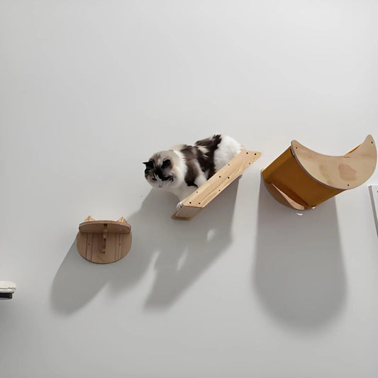 Cat Wall Hiding House Hammock Climbing Shelves Moon Perches Bed Ladder Solid Wood Steps For Activity Indoor Cats Wall Furniture