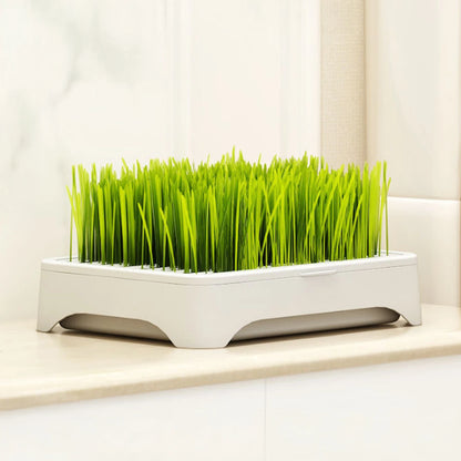 Pet Cat Grass Planting Basin Soilless Culture Wheat Seedling Pot Kitten Grass Hydroponic Device Horticultural Planting Pot