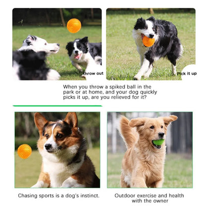 Bite Resistant Pet Chew Ball Toys for Small Large Dogs Elastic Buoyant Squeaky Puppy Big Dog Toy Border Shepherd Collie Supplies