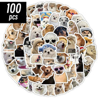 100 Pcs