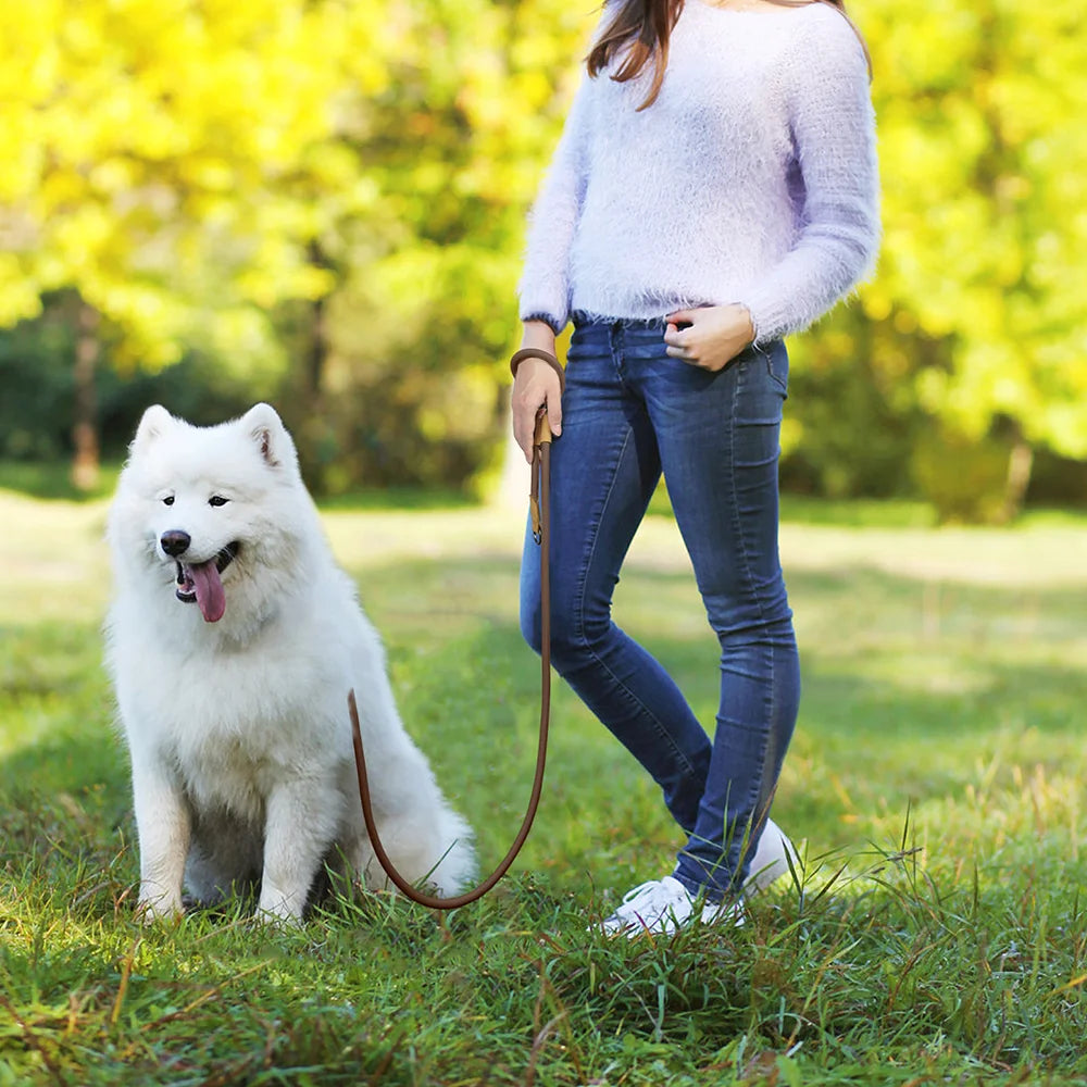 1.8M Large Dog Leash Waist Chain Traction For Running Walking Adjustment Simplicity Hands Free Dog Leash Leashes