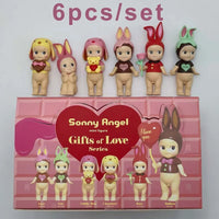 6pcs