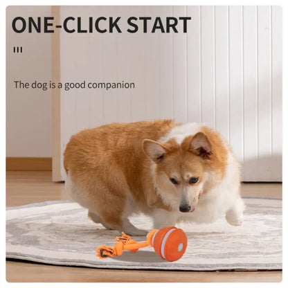 Pet Ball for Dogs Interactive Toys Motion Activate Rolling Ball for Puppy/Small Dogs Automatic Moving Toy USB Rechargeable Toy